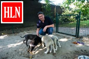 HLN.be